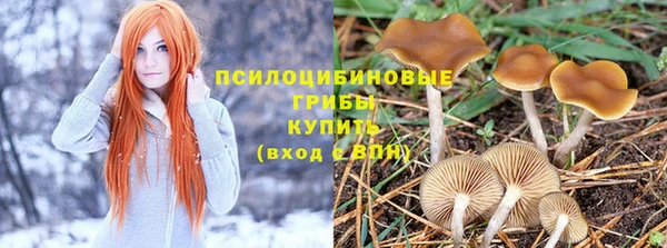 2c-b Уссурийск