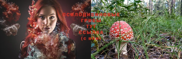 прущие грибы Липки