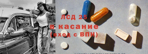 прущие грибы Липки