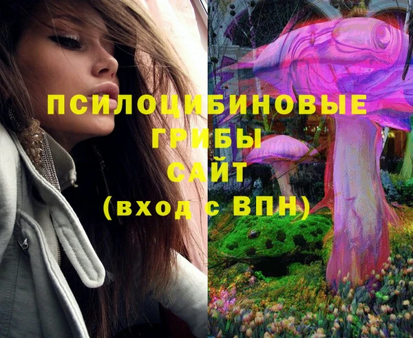 прущие грибы Липки