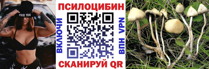 цена наркотик  Благодарный  Галлюциногенные грибы Psilocybine cubensis 
