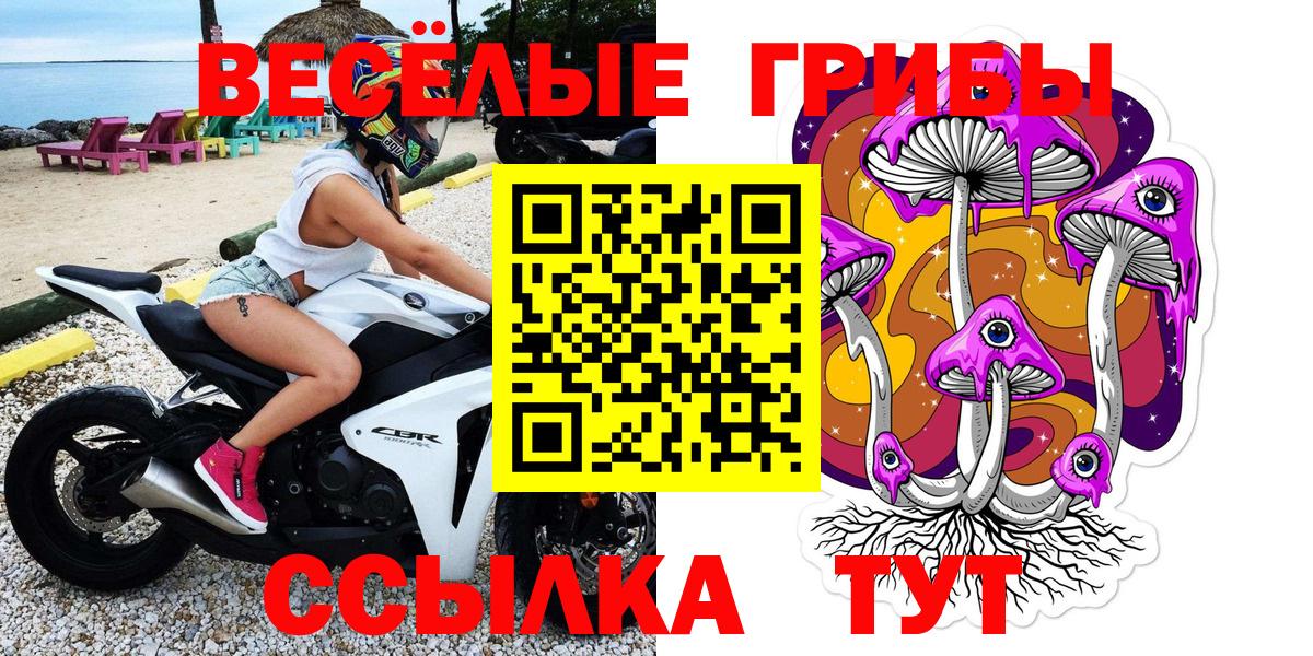 Благодарный  Псилоцибиновые грибы мухоморы  сколько стоит  Вход с VPN 