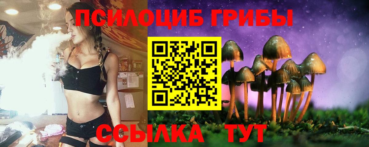 Галлюциногенные грибы Psilocybe Благодарный